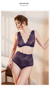 Detailaufnahme des passenden Spitzen-BHs und der High-Waist-Slips in Dry Rose