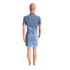 Detailed back view of a light blue denim dress with shirt collar and raw hem detail
