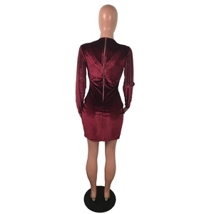 Détail de la robe mini en velours bordeaux avec perles argentées et zip au dos