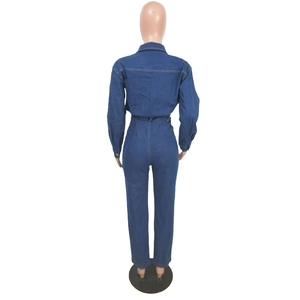 Vue arrière de la combinaison en jean slim avec couture à la taille et col classique