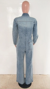 Back view of light blue washed denim jumpsuit with long sleeves and classic rear pockets