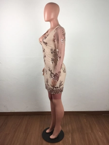 Détail de la robe moulante nude avec broderies pailletées dorées et manches en tulle