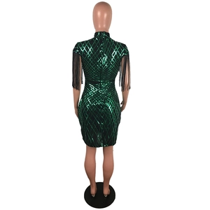 Vue arrière de la robe moulante à paillettes vertes avec franges noires et fermeture éclair