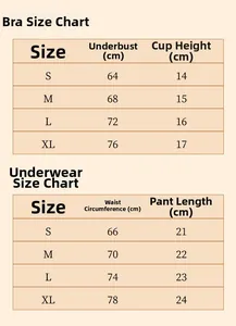 Detailed size chart for sexy lace embroidery bra and panty set showing S-XL measurements