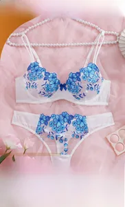 Detailed flat lay of white lace lingerie set with elegant blue floral embroidery