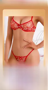 Detail of red sheer mesh lingerie set with white floral embroidery and bow accents