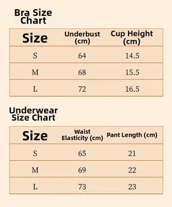 Tabella taglie dettagliata per set lingerie sexy con misure per reggiseno e slip