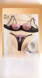 Detail of pink floral lace embroidery on black mesh sexy bra and panty lingerie set