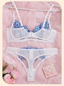 Detail of white lace lingerie set with blue floral embroidery and sheer mesh texture