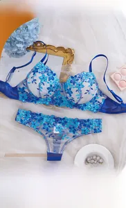 Detail of white mesh bra set featuring blue floral embroidery and adjustable straps