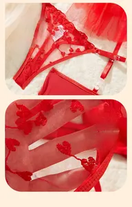 Dettaglio macro di ricamo a cuore rosso su rete trasparente con bordo in pizzo
