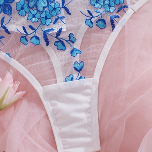 French lace white mesh lingerie set with blue floral embroidery and sheer finish