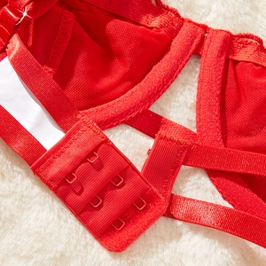 Set lingerie in pizzo rosso con spalline regolabili e chiusura posteriore a tre file