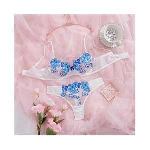 White French lace lingerie set with blue floral embroidery on bra and matching thong