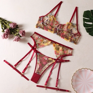 Detailed close-up of red mesh lingerie set with vibrant floral embroidery and lace edges