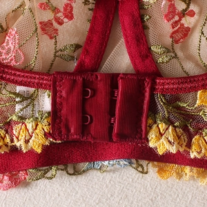 Detailed close-up of the double hook-and-eye back closure and floral embroidery on mesh