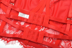 Détail de lingerie en dentelle rouge avec bretelles croisées et fermeture à double crochet