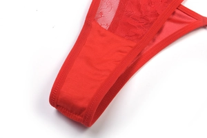 Détail en gros plan de lingerie en dentelle rouge avec broderie fine et tissu en maille douce