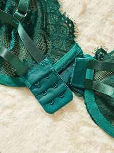 Detail of adjustable triple-row hook-and-eye closure on dark green lace bra set