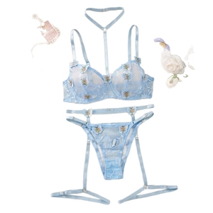Ensemble lingerie en dentelle bleue avec broderie papillon, porte-jarretelles et choker