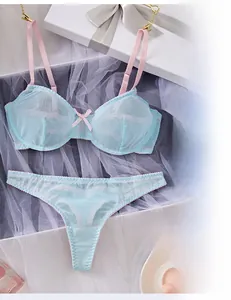 Detail of light blue mesh lingerie set with pink straps and lace trim in a gift box