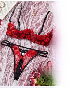 Detail view of red rose embroidery on erotic lingerie set with hollow-out straps