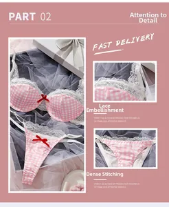 Detailed view of pink plaid lingerie with delicate lace trim and red bow accents