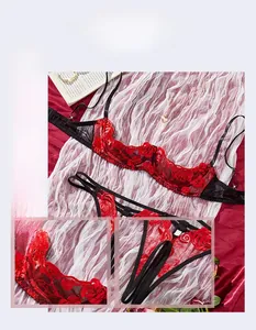 Close-up of red rose embroidery detail on sheer lace lingerie set with silk background
