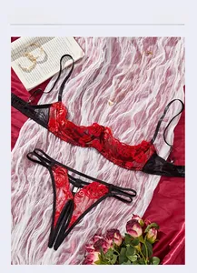 Detailed view of lace lingerie set with red rose embroidery on black mesh fabric