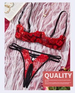 Detailed embroidery of red roses on translucent lace and mesh sexy lingerie set