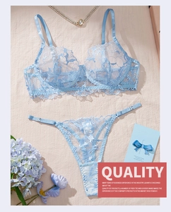 Detailed view of light blue lace lingerie set with floral embroidery and accessories