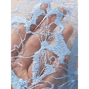 Light blue sheer lingerie set with delicate floral embroidery and mesh lace texture