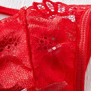 Close-up of red floral lace embroidery and scallop edge detail on sexy lingerie set
