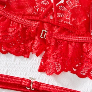 Sexy red lace lingerie set featuring intricate floral embroidery and silver metal hooks
