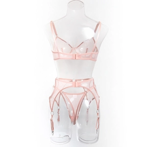 Rear view of a pale pink mesh lingerie set with garter belt on a clear mannequin