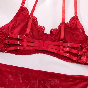 Detail eines roten Spitzen-Dessous-Sets mit verstellbaren Trägern und Verschluss