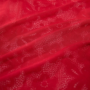 Detailaufnahme von leuchtend roter Blumenspitze mit feiner Netzstruktur auf dem Kleid