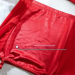 Détail de satin rouge avec mesh transparent et bordure en dentelle sur la robe