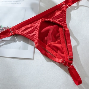 Detail of red satin sexy panty with cut-outs and adjustable straps on an elegant background