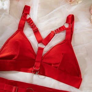 Détail d'un soutien-gorge harnais rouge avec anneaux métalliques et design punk