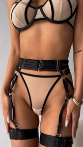 Detail of sheer mesh lingerie set featuring underwire cups and strappy garter belt details