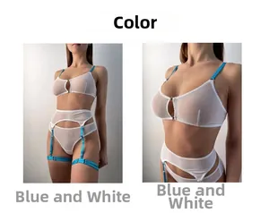Détails de l'ensemble de lingerie en maille transparente bleu et blanc avec fermoir avant