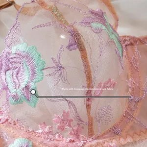 Détail du tissu en dentelle brodée transparente avec motifs floraux et maille délicate