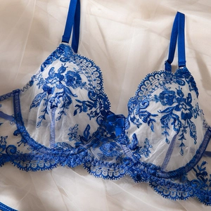 Detail of blue floral embroidery and scallop lace trim on a mesh bodysuit