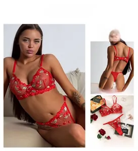 Detailed views of red sheer mesh lingerie set with cherry embroidery and lace