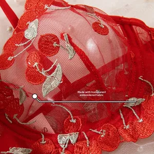 Detail of red cherry embroidery on transparent lace mesh of this sexy lingerie set