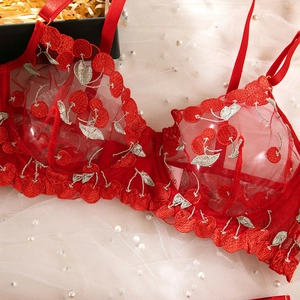 Close-up of red cherry embroidery on lace mesh bra with underwire support details