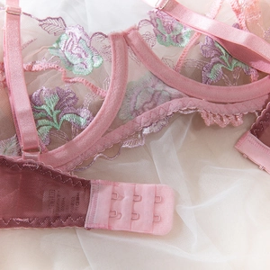 Close-up of pink lace embroidery with adjustable straps and back hook closure