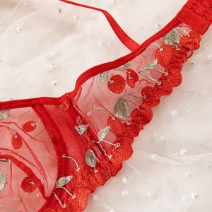 Detail of red cherry embroidery and sheer lace mesh on sexy underwired lingerie set