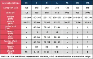 Detailed sizing chart for women's zebra mesh lingerie set with EU size conversion